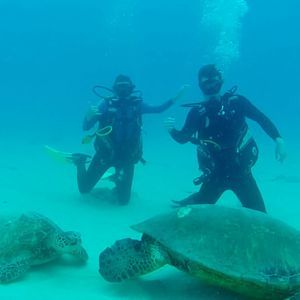 Meet your Posher, Brendan